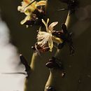 Mi proyecto del curso: Fotografía de paisaje y naturaleza Ein Projekt aus dem Bereich Fotografie, Außenfotografie, Fotografie für Instagram, Dokumentarfotografie und Fotografische Komposition von Milton Pulido - 04.09.2024