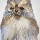 Il mio progetto del corso: Tecniche sperimentali di acquerello per principianti. Een project van Traditionele illustratie,  Beeldende kunst, Aquarelschilderen y Naturalistische illustratie van anthea1_deluca - 21.02.2024