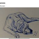 Dibujos mascotas. Fine Arts project by Mariluz Tomillo Ovejero - 02.21.2024