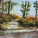 My project for course: Watercolor Fundamentals: Light and Color. Un projet de Peinture, Aquarelle et Illustration architecturale de Sherri H - 21.02.2024