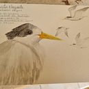 el inicio del cuaderno de viajes y rejistro. Un progetto di Disegno, Pittura ad acquerello, Sketchbook, Illustrazione naturalistica e Disegno a matita di alejandra gonzalez salazar - 20.02.2024