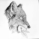 Mi proyecto del curso: Dibujo naturalista de animales con grafito. Un proyecto de Ilustración tradicional, Dibujo a lápiz, Dibujo e Ilustración naturalista				 de Carlos Enrique Jauregui Camacho - 03.06.2017