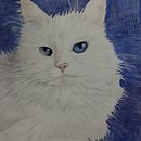 Mi proyecto del curso: Retratos de Mascotas en Lápices de Colores. Un progetto di Illustrazione tradizionale e Illustrazione naturalistica di celia_ - 28.02.2024