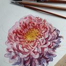 Botanical illustrations -my previous works. Arts, Crafts, Painting, Traditional illustration, Sketching, and Drawing project by Aliya Rakhmetova - 02.20.2024