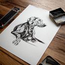 Mein Abschlussprojekt für den Kurs: Tiere zeichnen mit Kohle und Tusche. Artes plásticas, Desenho, Ilustração com tinta e Ilustração naturalista projeto de annemerod - 27.02.2024