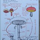 My project for course: Visual Storytelling Through Infographics. Un projet de Design graphique, Infographie et Illustration numérique de Shrish Tariq - 28.02.2024