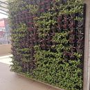 My project for course: Home Styling and Decoration with Plants. Design interativo, Decoração de interiores, Interiores, DIY, Design floral e vegetal, e Design de espaços projeto de Dr.Yogesh Bhosale - 28.02.2024