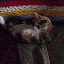 My project for course: Short Story Writing: Create Fiction from Personal Experience  . Scriere, Creativitate, Stor, telling, Narrativ, Scriere nonficțională și Scriere creativă de Michelle Taylor - 02.29.2024