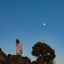 Mi proyecto del curso: Fotografía de paisaje y naturaleza. Un progetto di Fotografia, Fotografia all'aperto, Fotografia per Instagram, Fotografia documentaria e Composizione fotografica di Rodrigo Abraham Gamboa Hernández - 30.12.2023
