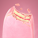 Helados CGI. Un projet de 3D, Publicité , et Retouche photographique de CESS Studio - 04.03.2024