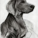 Mein Abschlussprojekt für den Kurs: Tiere zeichnen mit Kohle und Tusche. Projekt z dziedziny  Sztuki piękne,  R, sunek,  R, sunek atramentem, Ilustracja naturalist i czna użytkownika Villy Takeva - 05.03.2024