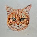 Mein Abschlussprojekt für den Kurs: Haustierporträts mit Buntstiften. Un progetto di Illustrazione tradizionale e Illustrazione naturalistica di henrikeboedler - 05.03.2024