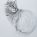 Meu projeto do curso: Desenho expressivo com carvão. Een project van  Beeldende kunst,  Tekening,  Portrettekening y Naturalistische illustratie van Maurício Yabiku - 21.02.2024