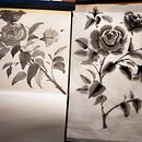 Mi proyecto del curso: Pintura sumi-e a color para ilustraciones florales. Un proyecto de Ilustración tradicional, Bellas Artes, Pintura, Ilustración botánica e Ilustración con tinta de Angelika Villalta Soto - 07.03.2024