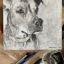 My project for course: Animal Illustration with Charcoal and Ink Ein Projekt aus dem Bereich Bildende Künste, Zeichnung, Illustration mit Tinte und Naturalistische Illustration von toppclan - 07.03.2024