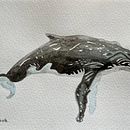 My project for course: Naturalist Illustration Techniques: Whales in Watercolor. Fine Arts, Painting, Watercolor Painting, and Naturalistic Illustration project by Sandra Rohde - 03.08.2024