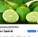 Mi proyecto del curso: Google Ads y Facebook Ads desde cero (Blumenau del Pacífico). Projekt z dziedziny Marketing, Portale społecznościowe, Marketing c, frow, Marketing mobiln, Instagram, Marketing na Facebooku, Marketing na Instagramie, Growth Marketing i SEM użytkownika Johan Fernando López López - 09.03.2024