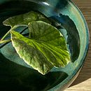 Ceramica  e illustrazione . Un progetto di Artigianato di Lucia L’abbate - 09.03.2024