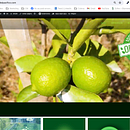 Mi proyecto del curso: WordPress: crea una web profesional desde cero. Projekt z dziedziny Web design, Tworzenie stron internetow, ch, Programowanie bez kodu, Projektowanie produktu c i frowego użytkownika Johan Fernando López López - 05.03.2024