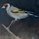 My project for course: Classical Oil Painting for Naturalist Bird Portraiture Ein Projekt aus dem Bereich Bildende Künste, Malerei, Ölmalerei und Naturalistische Illustration von Jennie Harborth - 11.03.2024