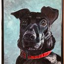 Abschlussprojekt für den Kurs: Realistische Haustierporträts mit Ölmalerei . Un proyecto de Pintura al óleo y Pintura de Angelika Schmidt - 11.03.2024