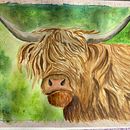 Mein Abschlussprojekt für den Kurs: Ausdrucksstarke Tierporträts in Aquarell . Ilustrație tradițională, Pictură în acuarelă, Desen realist & Ilustrație naturalistă de b_tschuppert - 03.12.2024