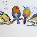 Songbirds . % anneflienpost tarafından hazırlanan Geleneksel illüstras, on, Sulubo, a Resim, Gerçekçi Çizim, Doğalcı İllüstras, Ve on projesi - 03.12.2024