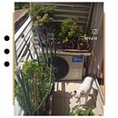 Mi proyecto del curso: Diseño de espacios verdes para tu casa. Paisagismo, Design floral e vegetal, e Design de espaços projeto de ELIANA LANDAETA APONTE - 10.11.2023