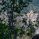 Expedición a Sierra de la Laguna. Een project van Fotografie van Guillermo Gómez Márquez - 15.03.2024