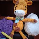 My project for course: Crocheting Amigurumi Animals for Beginners Ein Projekt aus dem Bereich H, werk, Spielzeugdesign, Crochet, Amigurumi und Textildesign von Priya Rajan - 16.03.2024