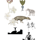 Mi proyecto del curso: Collage digital para medios editoriales. Un proyecto de Diseño gráfico, Collage, Ilustración digital e Ilustración editorial de Violeta Castillo - 17.03.2024