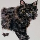 Mi proyecto del curso: Retratos expresivos de animales en acuarela. Een project van Traditionele illustratie, Aquarelschilderen, Realistische tekening y Naturalistische illustratie van Monica Perez Avila - 16.03.2024