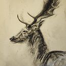 Mon projet du cours : Illustration d'animaux au fusain et à l'encre. Fine Arts, Drawing, and Naturalistic Illustration project by Kevin Candusso - 03.18.2024