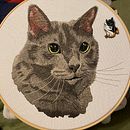 Mosi: my companion for 17 years. Un projet de Broderie, Illustration naturaliste , et Design textile de Sara Ray - 08.03.2024