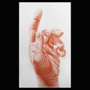 Anatomy studies. Projekt z dziedziny  R, sunek, R, sunek realist, czn,  R, sunek art, st, czn,  Sztuki piękne, Design,  Manager art, st i czn użytkownika Cristian Branzescu - 20.03.2024