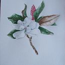 Mon projet du cours : Illustration botanique à l’aquarelle. Traditional illustration, Fine Arts, Painting, Drawing, Watercolor Painting, and Botanical Illustration project by gigilarose - 03.20.2024