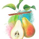 My project for course: Realistic Botanical Illustration: Escape to Nature Ein Projekt aus dem Bereich Malerei, Aquarellmalerei, Botanische Illustration und Naturalistische Illustration von Yuliia Druzenko - 19.10.2023