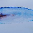 My project for course: Marine Universe Illustration in Watercolor Ein Projekt aus dem Bereich Traditionelle Illustration, Malerei, Aquarellmalerei und Naturalistische Illustration von Spell Wing - 21.03.2024