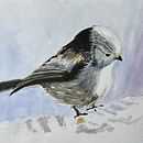 My project for course: Artistic Watercolor Techniques for Illustrating Birds . % ddsantos_1 tarafından hazırlanan Geleneksel illüstras, on, Sulubo, a Resim, Gerçekçi Çizim, Doğalcı İllüstras, Ve on projesi - 03.22.2024