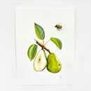 Mi proyecto del curso: Ilustración botánica realista: conecta con la naturaleza. Pintura, Pintura em aquarela, Ilustração botânica e Ilustração naturalista projeto de Adri Ortiz - 24.03.2024
