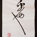 Fragmento de Zhao Ji, Mil caracteres clásicos, 30x20cm Ein Projekt aus dem Bereich Kalligrafie von Cesar Juan Jorda - 24.03.2024