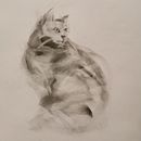 My project for course: Expressive Drawing with Charcoal. Projekt z dziedziny  Sztuki piękne,  R, sunek, Portret, Ilustracja naturalist i czna użytkownika Ragna Marie Qvam - 25.03.2024