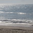 Sobretudo amor . % Amélia Silva tarafından hazırlanan Yazma, Yaratıcılık, Hika, e anlatımı, Anlatı, Kurgu Yazımı, Ve Yaratıcı Yazarlık projesi - 03.23.2024