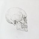 My project for course: Intro to Anatomy Drawing with Graphite Pencil. Projekt z dziedziny  Sztuki piękne, R, sunek ołówkiem,  R, sunek, R, sunek realist, czn, R i sunek anatomiczn użytkownika moneill27 - 18.03.2024