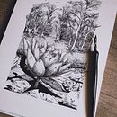 My project for course: Dip Pen and Ink Illustration: Capturing The Natural World. Projekt z dziedziny Sketching,  R, sunek,  R, sunek art, st, czn, Sketchbook,  R, sunek atramentem, Ilustracja naturalist i czna użytkownika Eliana Patricia Gómez Rodríguez - 28.03.2024