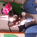 Mi proyecto del curso: Needle felting: creación de personajes con lana y aguja. Arts, Crafts, To, Design, Needle Felting, and Textile Design project by Brenda Leslie Alemán Delgado - 03.29.2024