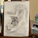 Mon projet du cours : Dessin expressif au fusain. Projekt z dziedziny  Sztuki piękne,  R, sunek, Portret, Ilustracja naturalist i czna użytkownika g2jcv9ctyf - 01.04.2024