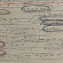 Mi proyecto del curso: Oratoria: encuentra tu voz para hablar en público. Creative Consulting, Stor, telling, and Communication project by Sara Valladares Valdiviezo - 04.01.2024
