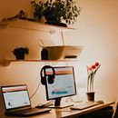 Mi proyecto del curso: Decoración expresiva con plantas de interior. Projekt z dziedziny Projektowanie wnętrz, Architektura krajobrazu,  Dekoracja wnętrz, Dekoracja wnętrz, DIY, Kompoz, cje kwiatowe i botaniczne i Projektowanie przestrzeni użytkownika Ana Paula Simões - 02.04.2024