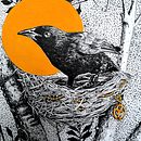 Meu projeto do curso: Ilustração realista de aves com elementos imaginativos. Un proyecto de Dibujo a lápiz, Dibujo, Ilustración con tinta e Ilustración naturalista				 de Giselle Paiva - 01.04.2024